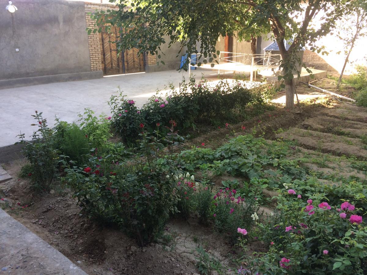 Salom Hostel Panjakent Bagian luar foto